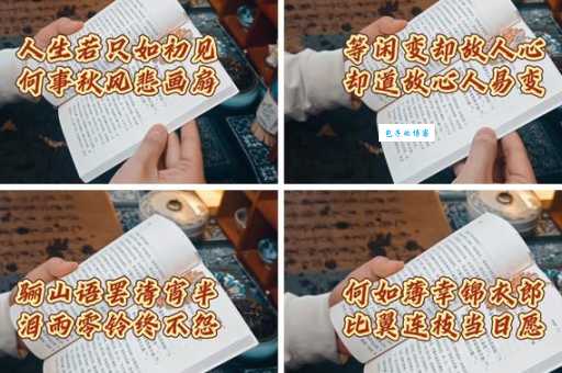 决绝是什么意思从字面到深层含义全解析