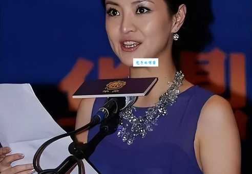 主持人经纬的采访技巧如何与明星轻松对话