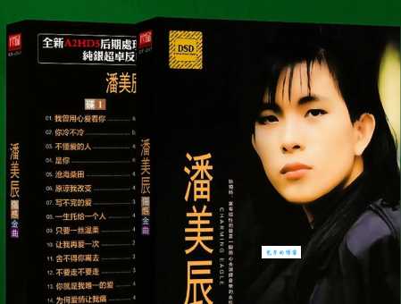 潘美辰的成名曲和代表作品有哪些