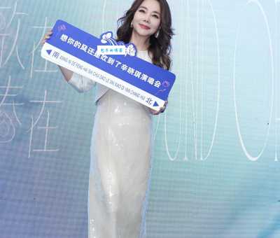 辛晓琪我是歌手参赛历程与音乐成长经历