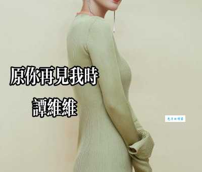 谭维维资料详细介绍 从超女到实力唱将