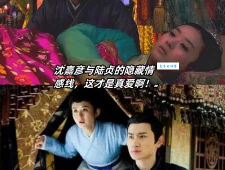 陆贞传奇沈嘉彦为什么喜欢陆贞两人有感情戏吗