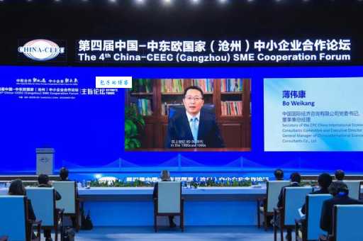 魏杰谈中小企业如何在新经济环境中生存发展