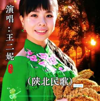 陕北民歌王二妮的经典作品与演唱风格解析