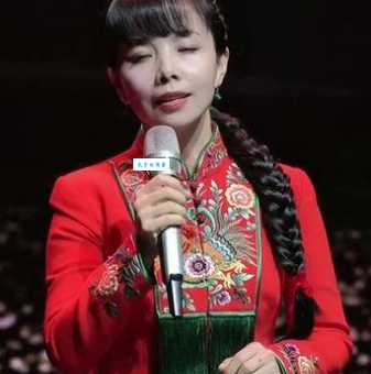 陕北民歌王二妮的经典作品与演唱风格解析
