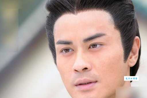 斗智情缘2011郑嘉颖主演的电视剧演员表