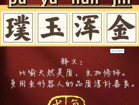 璞怎么读一分钟学会这个字的念法