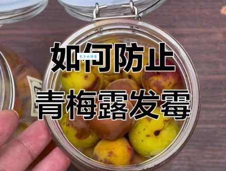 青梅露坏了怎么看 五个小技巧轻松识别变质问题