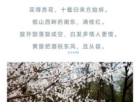 红杏出墙是什么意思 为什么用红杏比喻女人出轨