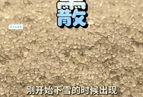 霰字怎么读专家教你准确发音技巧