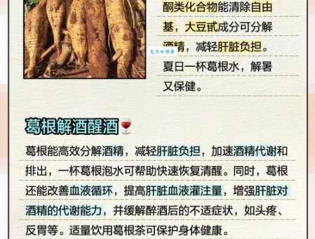 杯葛的意思和用法看完你就懂了