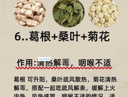 杯葛的意思和用法看完你就懂了