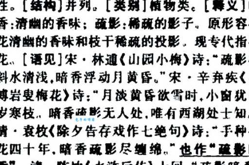 暗香疏影的意思你知道吗 这个成语背后的故事