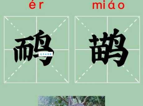 侉怎么读简单三步教你准确发音