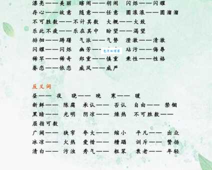 掩映的意思和近义词 快速区分不混淆