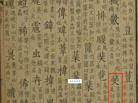 斐字怎么读常见读音错误及纠正方法