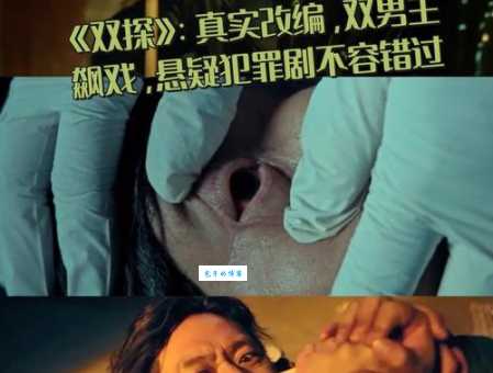双探剧情评价这部剧的悬疑氛围营造得如何