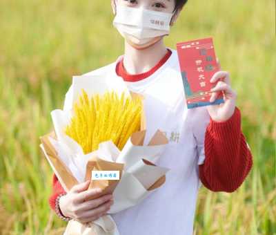 田耕纪2023年洪泠执导的乡村剧在哪里可以看