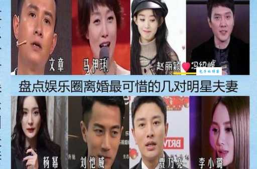 结婚为什么演员表最新版 所有演员角色解析