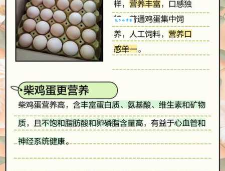 恩赐柴鸡蛋的养殖秘诀大公开