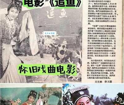 越剧电影追鱼拍摄花絮 幕后故事大揭秘