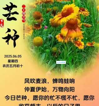 芒种是个吉利日子吗 看看老黄历怎么说