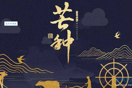 芒种是个吉利日子吗 看看老黄历怎么说