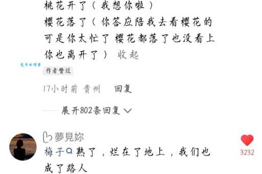 梅子熟了什么意思原来是这样理解的