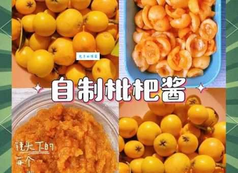 枇杷怎么吃更美味 试试这几种家常做法