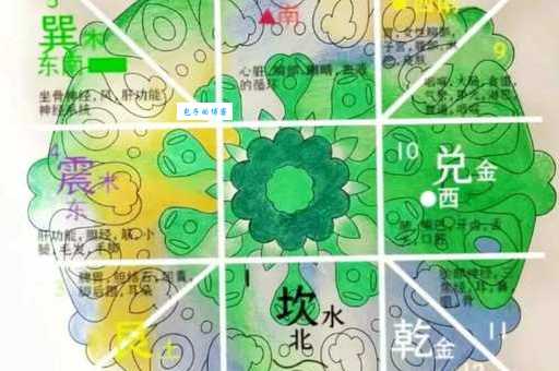 九宫是何是什么生肖 快速了解九宫生肖对应表