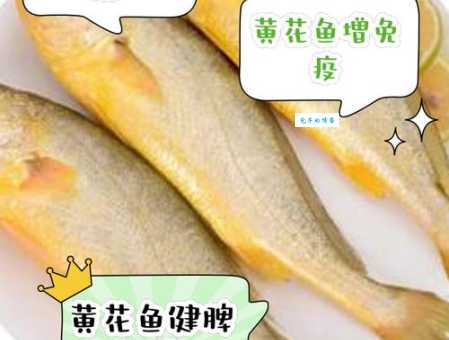 黄花鱼的营养价值高适合哪些人群食用