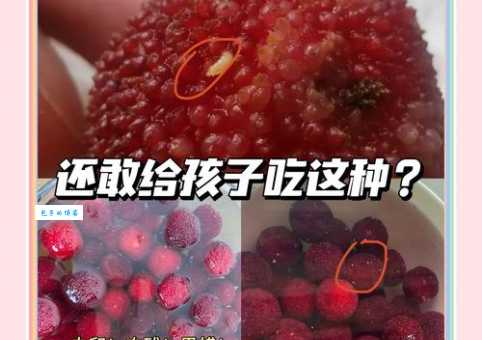 杨梅怎么洗才干净专家教你正确清洗步骤