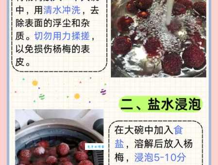 杨梅怎么洗才干净专家教你正确清洗步骤