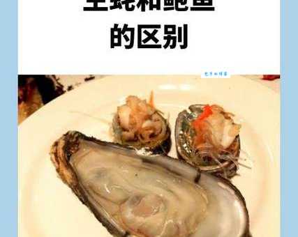 deepsea是什么意思 深海和浅海有什么区别