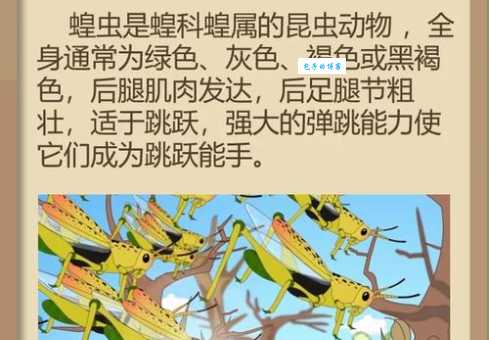蝗虫出动时整整齐齐是为什么 原来是为了这个目的