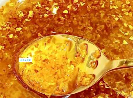 桂花怎么处理后可以食用 简单三步教你处理新鲜桂花