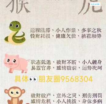蚕食鲸吞猜一准确生肖动物究竟是谁答案让人意外