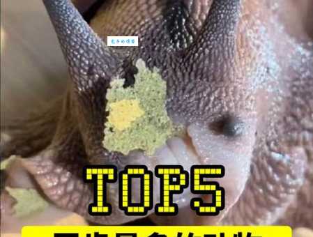 什么动物牙齿最多 第一名牙齿数量让你大吃一惊