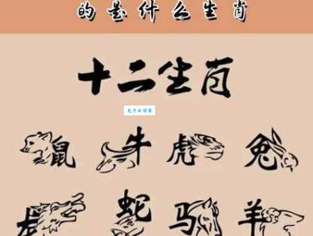 风凉水冷是什么生肖 原来这几个生肖最怕热