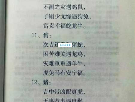 逍遥法外代表什么生肖 哪个生肖最爱挑战规则