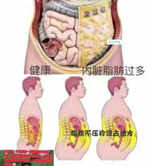 人体最大的器官是什么 皮肤竟然比肝脏还大
