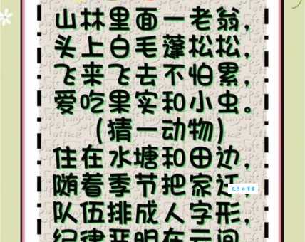 一窍不通打一准确生肖谜语解析一看就懂