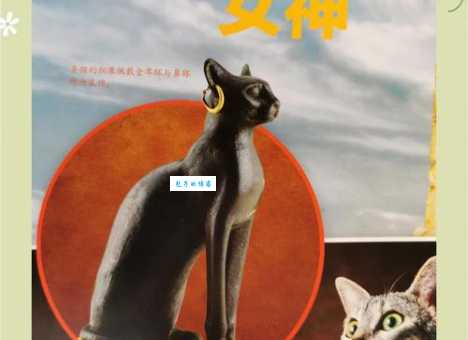 犹太长老的灵猫传说 古老智慧与现代解读的结合