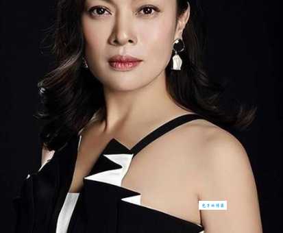 铁面歌女演员表详细介绍主演配角都有谁