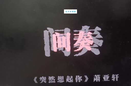 一个人的夜我的心应该放在哪里是什么歌 这首歌叫什么名字