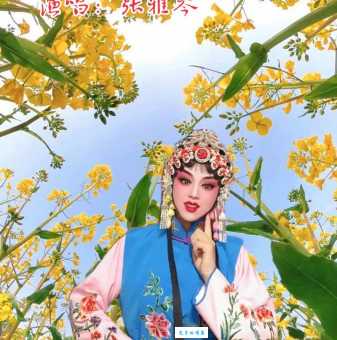 秦腔花亭相会表演技巧与舞台艺术欣赏