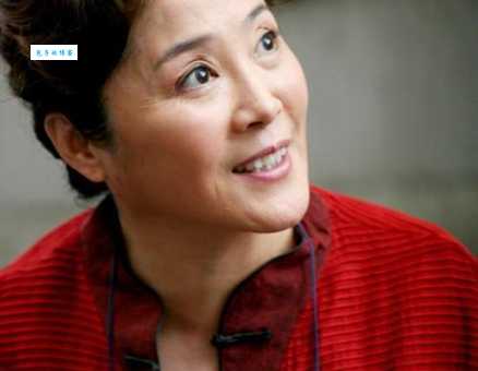 我是业主剧情介绍演员表和角色背景全解析