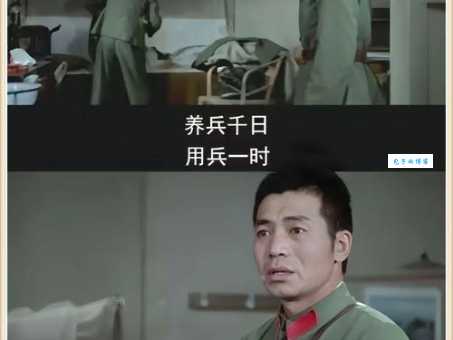 谢晋导演的经典电影你看过几部