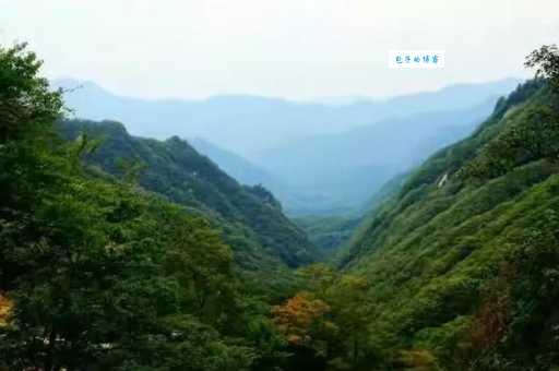 秦岭个人简历制作指南从零开始轻松搞定