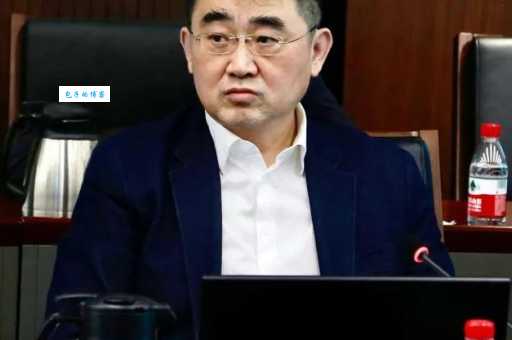 孙瑜简历详细解析从教育背景到工作成就